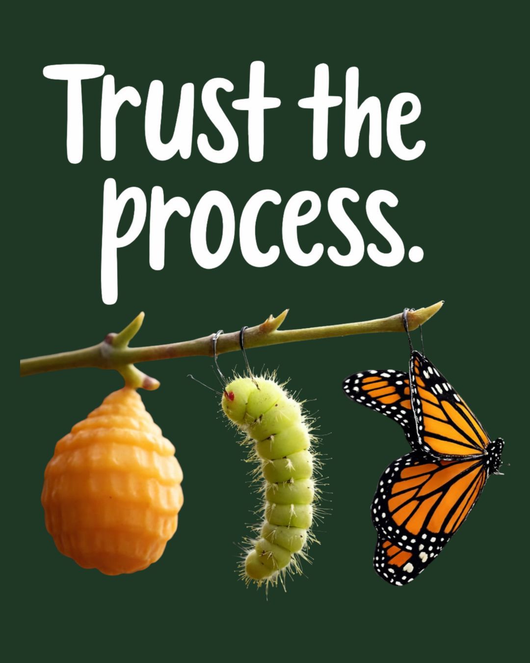 Trust the Process Regular Fit T-Shirt